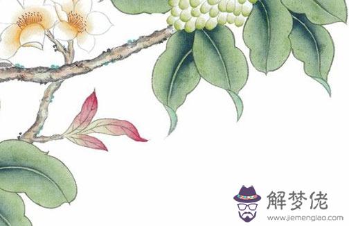 用兩個人的名字算姻緣,雙方姓名看兩人合不合
