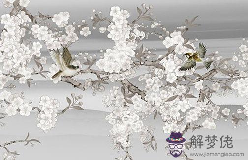 免費生辰八字精準詳批,八字影響我們的運勢