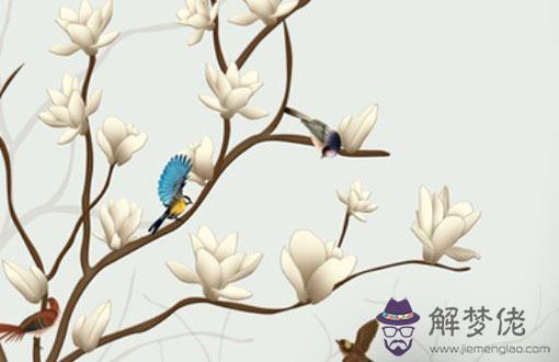 87兔和93年雞真不能在一起嗎,真心付出可改善雙方感情