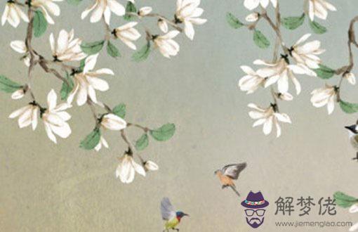 87兔和93年雞真不能在一起嗎,真心付出可改善雙方感情