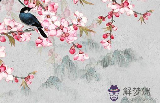 兔子跟猴子相沖嗎,一起面對問題珍惜對方
