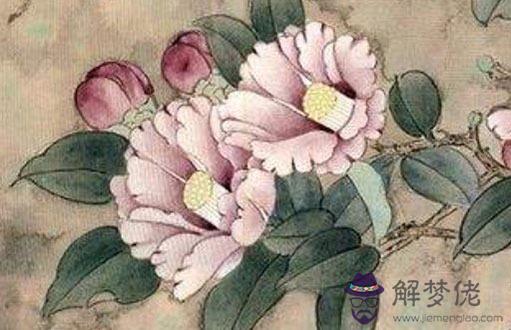 牛和狗是上等婚嗎,為什麼屬牛和屬狗般配