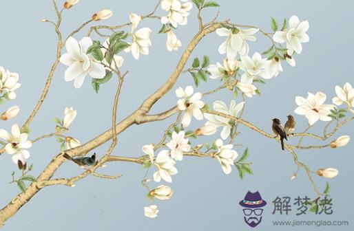 免費生辰八字算婚姻命運,八字看另一半婚姻運勢