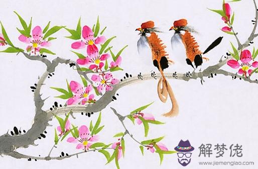 八字合婚免費測算,怎麼用生辰八字測算婚姻