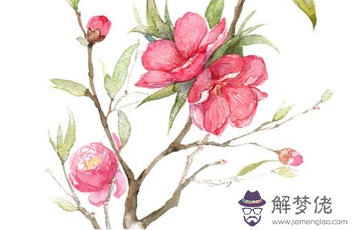 命里沒有姻緣的人,八字命局官星極弱的人難成婚