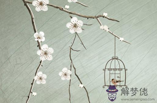 生辰八字看婚姻超準,八字看與另一半遇見時間