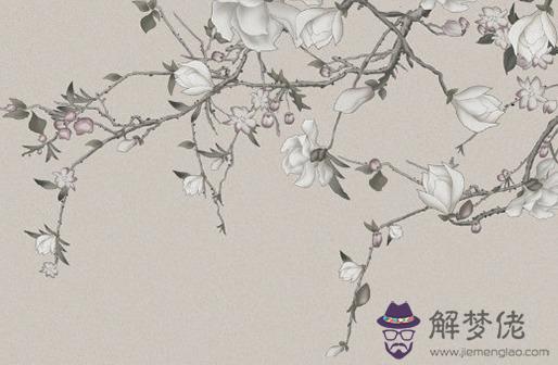 測兩人婚姻匹配度,如何看兩人有沒有夫妻緣分