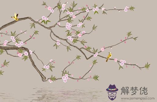 夫妻之間緣分淺是什麼意思,夫妻關系好的八字