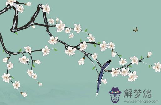 八字測算婚姻免費,八字了解個人婚姻運勢