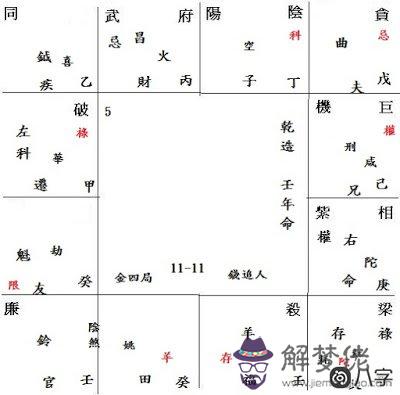 如何分析錢追人的命盤?紫微斗數實例解讀